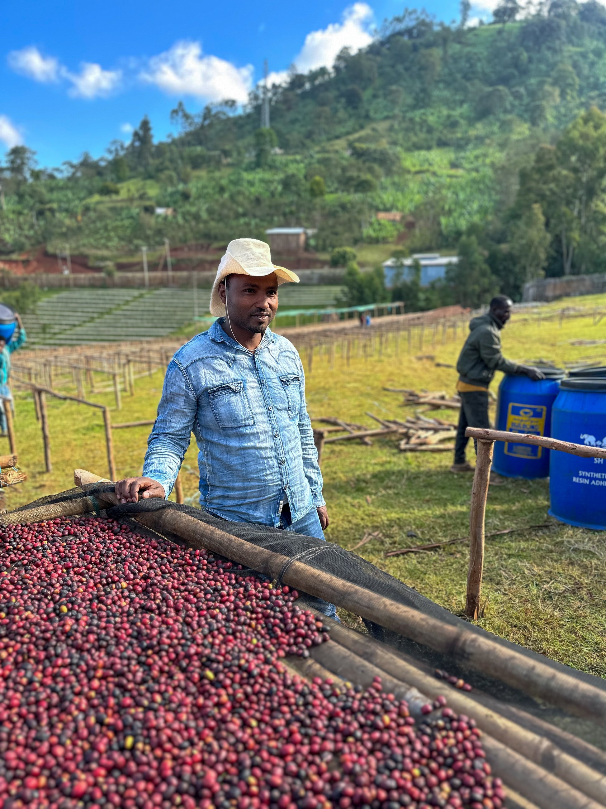 Basha Bekele - Ethiopia Whole Bean Coffee