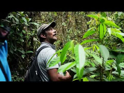 Full Spectrum Coffee  From Radio Roasters Coffee - Wholesale Coffee Atlanta 